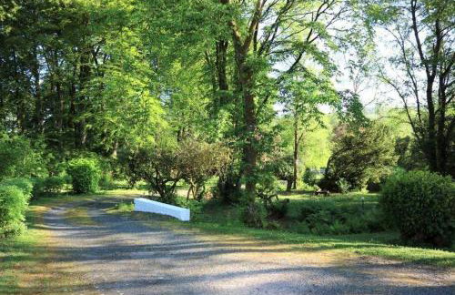 RnB - Rural n Beautiful - The Spacious Coach House - Photo 36