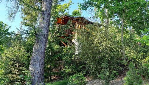 Baumhaus Wolfshöhle - Foto 4