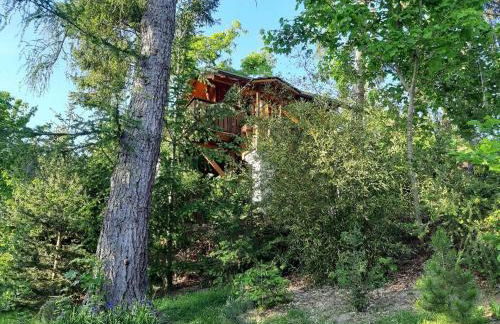 Baumhaus Wolfshöhle - Foto 4