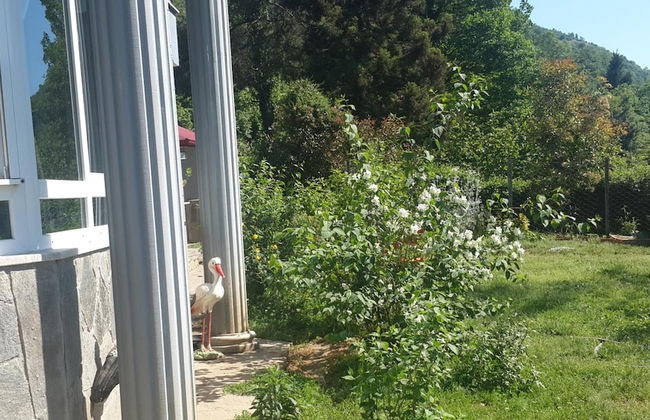 Cosy Park Apartment - Foto 27