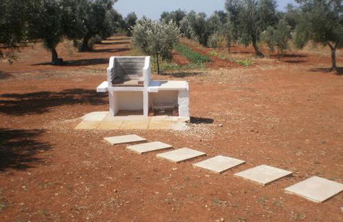 Tenuta Cazzato - Foto 14