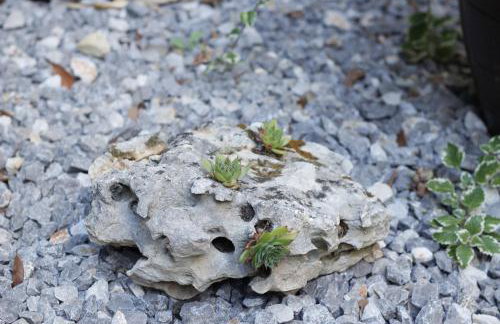 Charming Terrace Studio Split - Foto 50