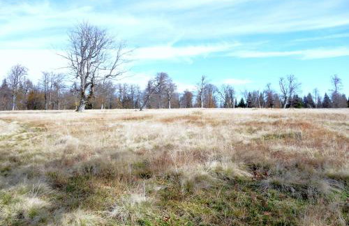 Ferienhaus Breit - Foto 20