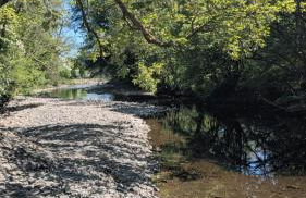 Tranquil Cabin Retreat- Sleeps 2 Parking - Foto 19