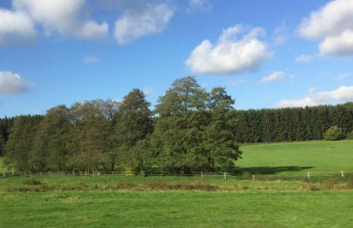 Comfort-Apartment - Foto 36