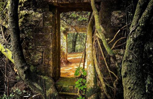 Vista incrível -2 qtos c/ suíte -próx shopping e PUC c/ varanda e churrasqueira - Foto 57