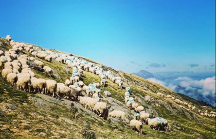 BÈTH CÈU Appt vacances 4P- La Pierre St Martin GR10 - Foto 42