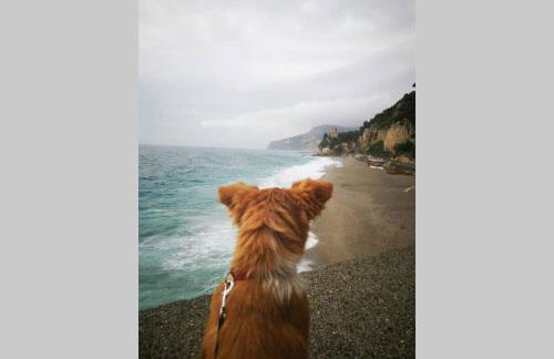 Casa Melograno - Photo 75