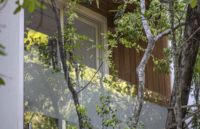 Vita Tulum - Photo 27