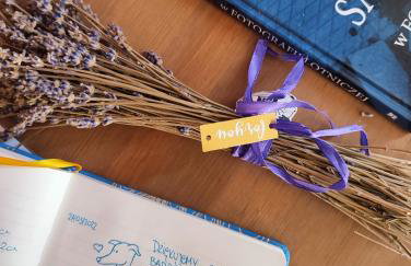 Lawendowo- sauna, jacuzzi, domki w ogrodzie i apartamenty w kamienicy - Photo 55