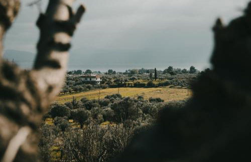 Boho Escape - Jacuzzi & Sea View - Foto 23