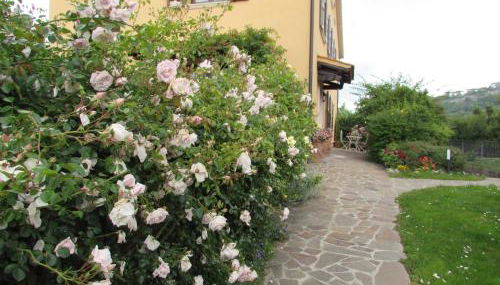 Casa Angolo delle Rose 2 - Photo 2, Garden view