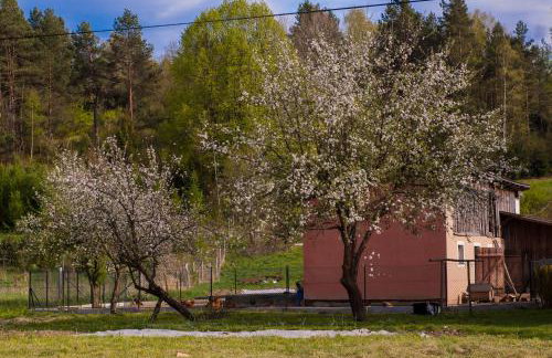 U Jadzi Pogórze Przemyskie - Foto 19