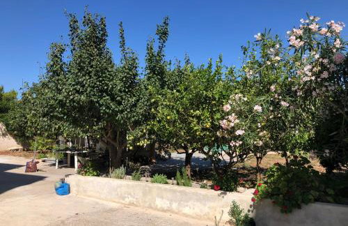 Seaview penthouse by the beach - Foto 16