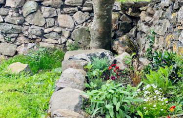 Charming coastal cottage - pet friendly! - Photo 51