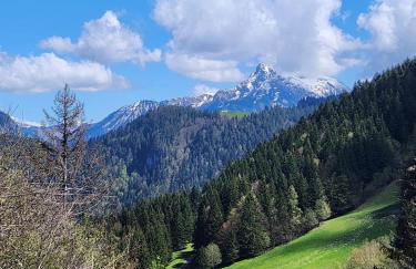 2-bed appt 20 mins from Morzine Portes du Soleil French Alps - Foto 34