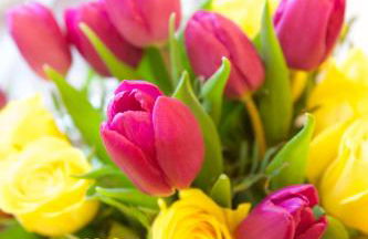 Sebay Mill Holiday Apartments - Photo 36