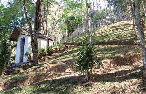 Solar Mirandela - Foto 43