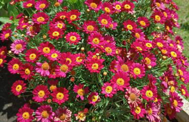 Mar Tu Apartamento en Llanes - Foto 39