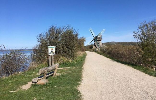 Reading Roof Cate Fuchsgraben - Foto 23