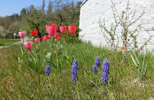 Ferienwohnung Süßenmühle Naturstrand - Foto 20