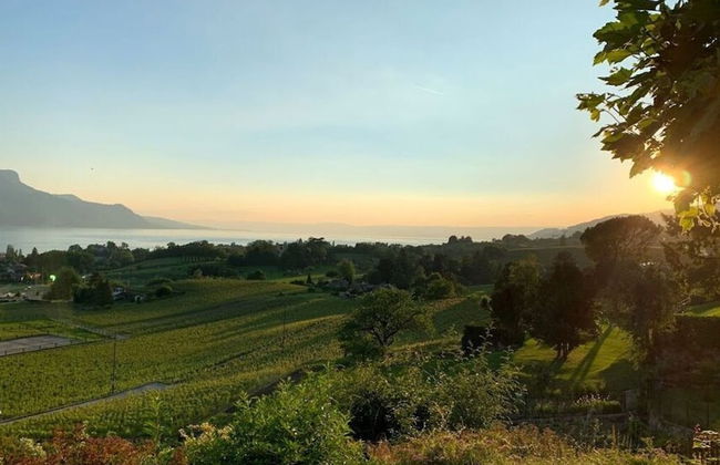 La Vigneronne, Tuin - Foto 6