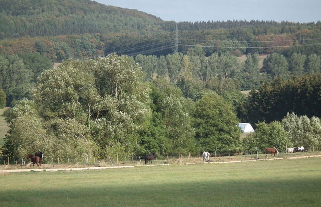 Villa Birrenbach Comfortable Vacation Home - Foto 22