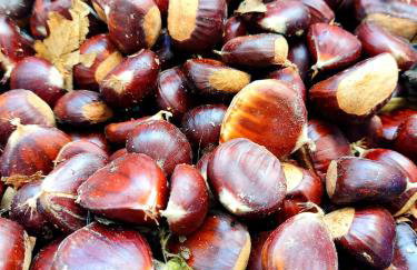 Grandma's apartment - Photo 37