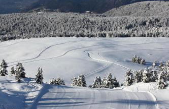 Appartments Neuhof - Photo 67