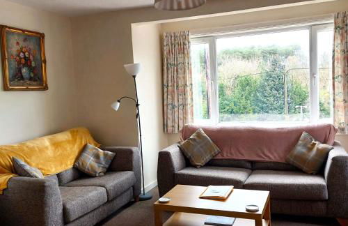 Springfield - Foto 3