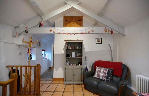 Bwthyn Plas Hafod Cottage - Photo 8