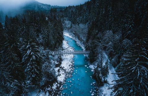 Stilly River Haus - Hot tub - Firepit - Fireplace - Foto 36