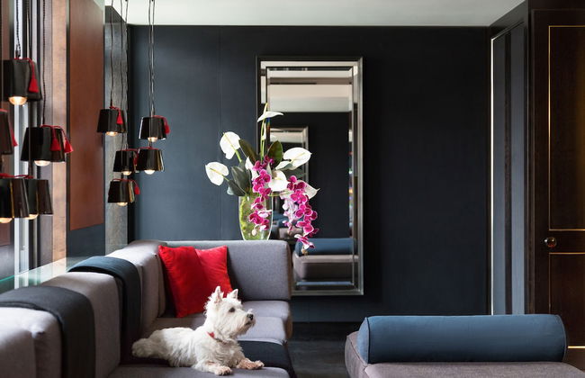 Grosvenor House Suites - Foto 45