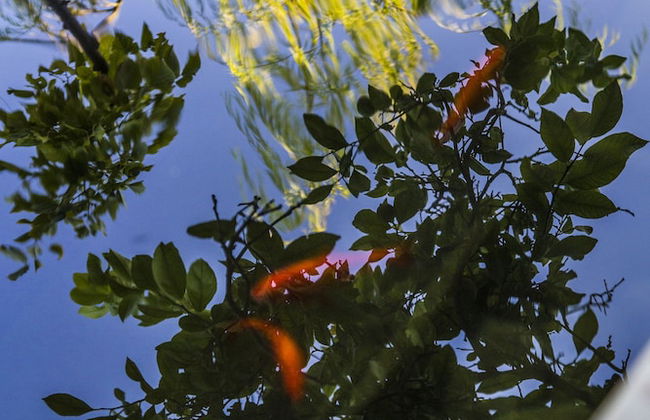 Elisa Villa - Foto 43