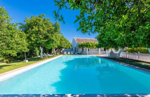 Huerta la Pimentada - Foto 75