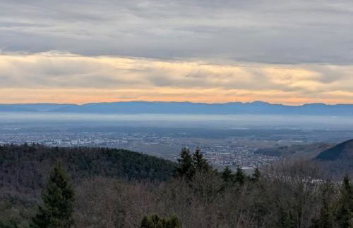 Les 3 Zepp - Foto 11