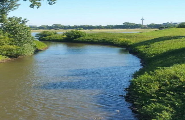 Apartment With Balcony, Neuss - Foto 38