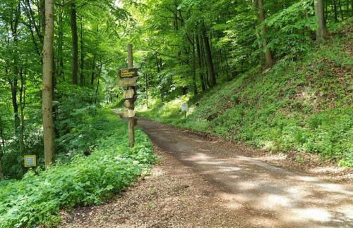Ferienwohnung am Kupferbach - Foto 18