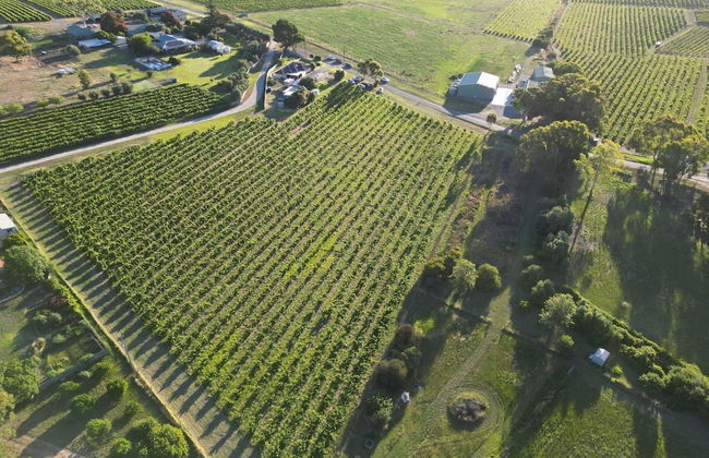 Mclaren Vale Vineyard Homestead - Foto 49