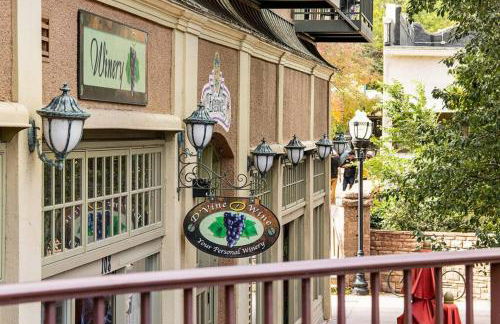 The Owl's Nest @ Manitou: Mtn Views on Main Street - Foto 43