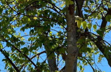 Serene Escape Cozy Home close to Beaches - Foto 39