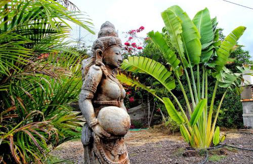 FINCA BEROLO 1 - Foto 38