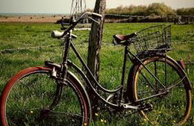 Normandie ferme restaurée du 18ème avec jacuzzi - Photo 47