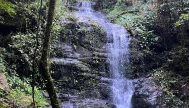 Sítio das montanhas - Foto 3