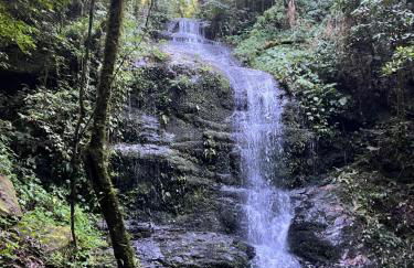 Sítio das montanhas - Foto 3