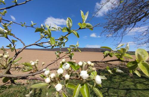 Ferienwohnung am Ellerbach - Photo 70