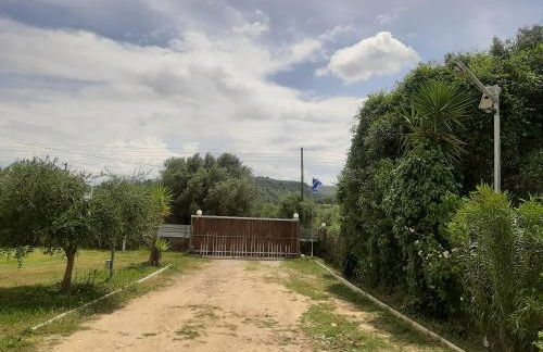 THE MANSION OF DIONISOS AND DIMITRAS 2 - Foto 20