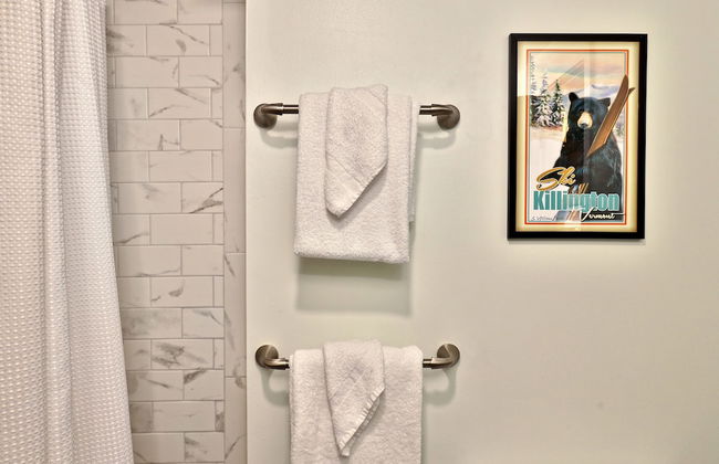 Fall Line Condo C3 1 Bedroom Condo - Photo 22