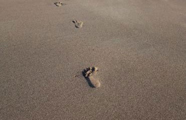 Ferienhof Schulz - Foto 8