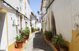 Casa da Avó - Foto 31